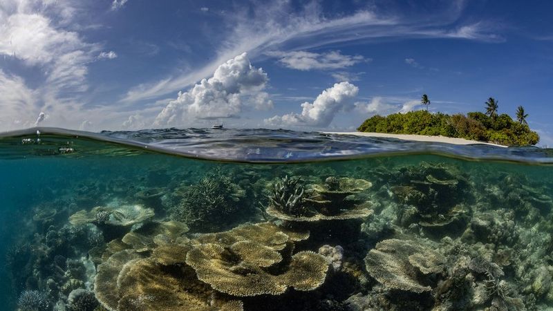 Objektivem do hlubin, kde se rozhoduje o budoucnosti oceánů