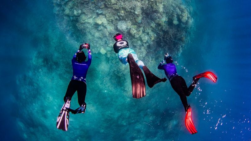 Photographed from above, three snorkelers with fins and holding small cameras swim over a large coral reef structure.