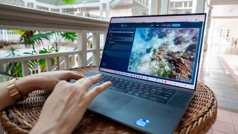Want to become a Citizen of the Reef? You're just a click away