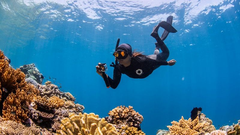 Community clicks send Citizens of the Reef global