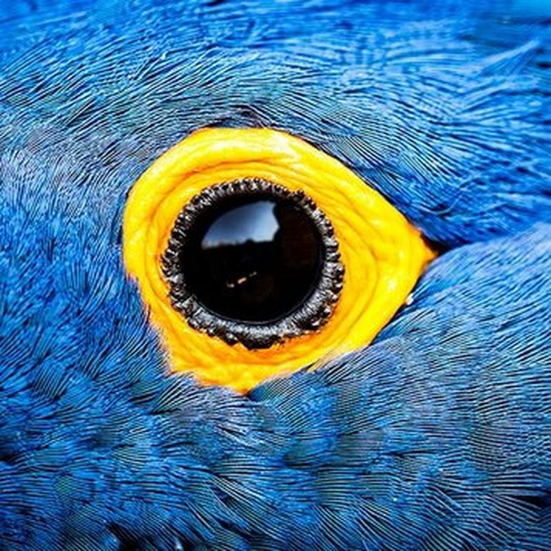 La nature dans la peau