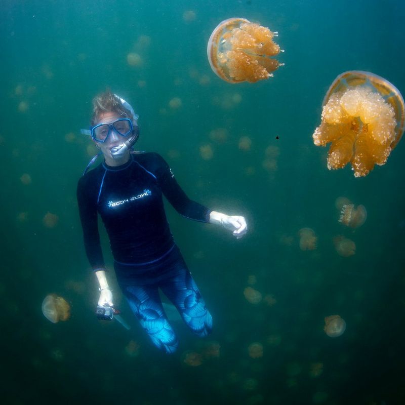 Kate Craggs freediving in murky green water. She floats in a kneeling position, looking straight at the camera and is surrounded by several large golden jellyfish.