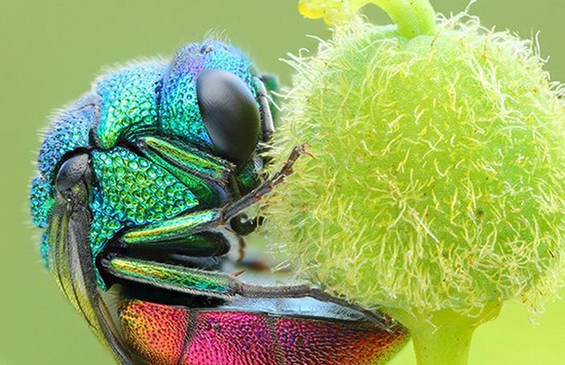 Unternehmens-Broschüren