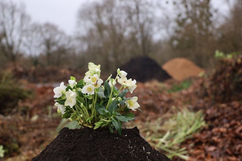 Projekte mit der Brötzinger Grund- und Werkrealschule, Pforzheim
