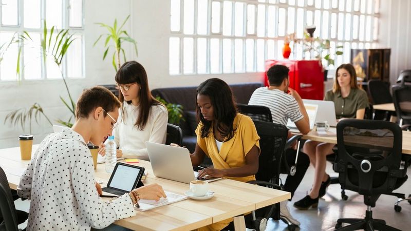 Knowledge Management