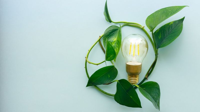 Nachhaltigkeit bei Canon