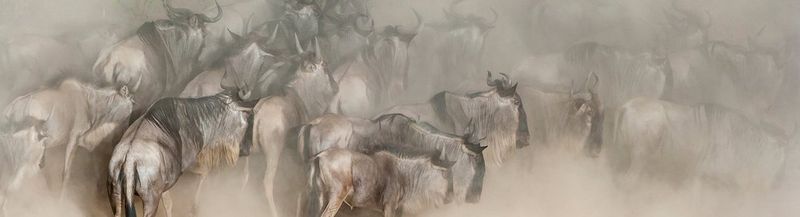 Michel et Christine DENIS-HUOT