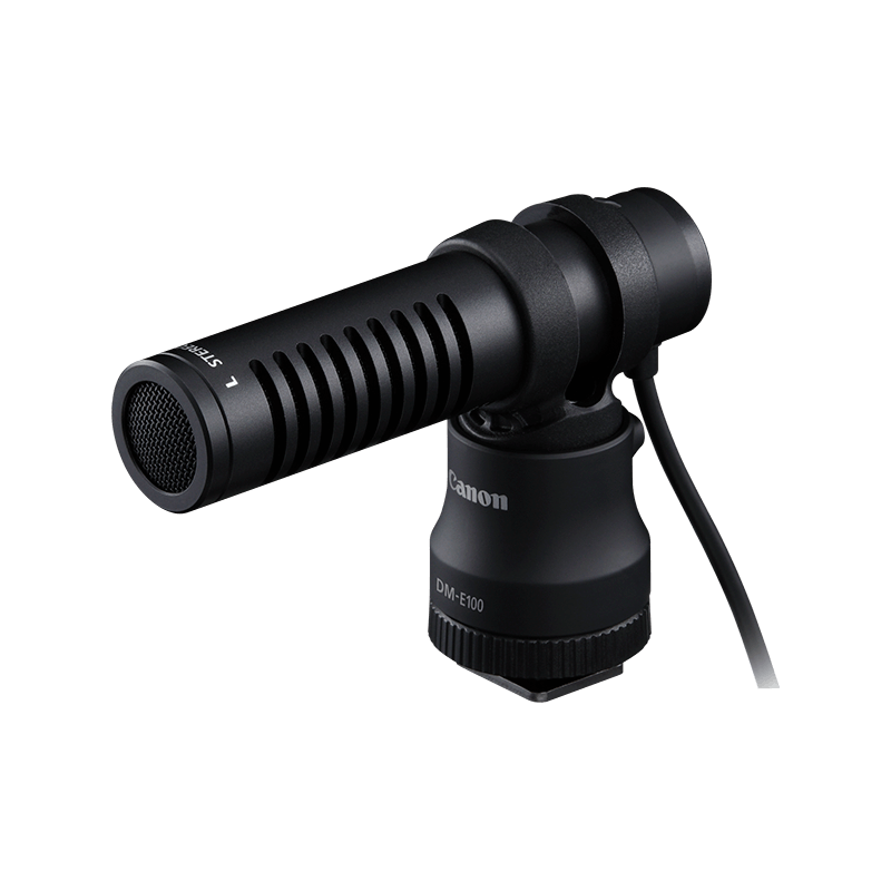 directional microphone