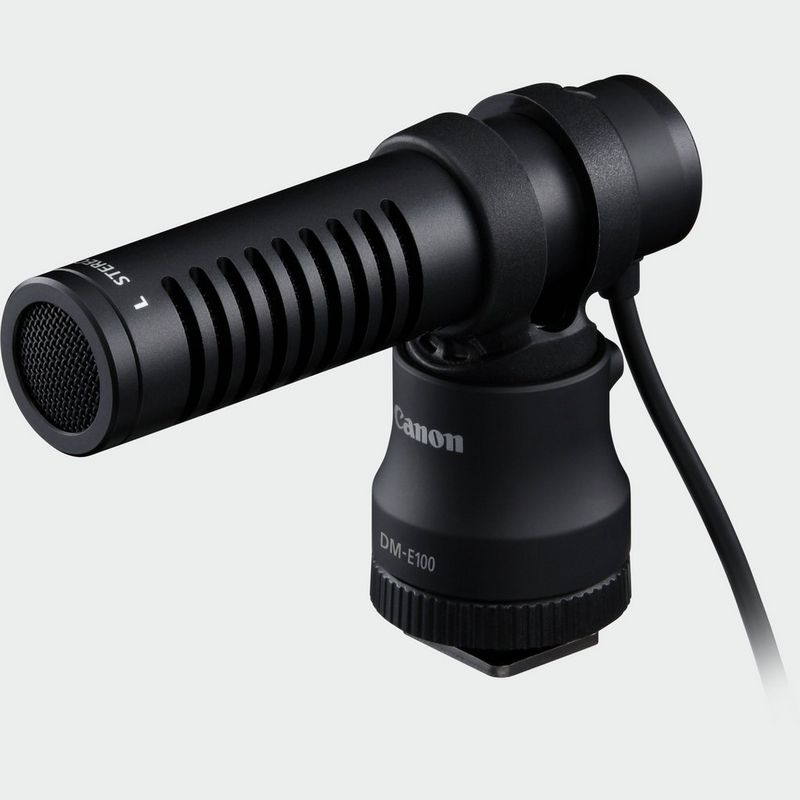 Microfono stereo direzionale DM 100