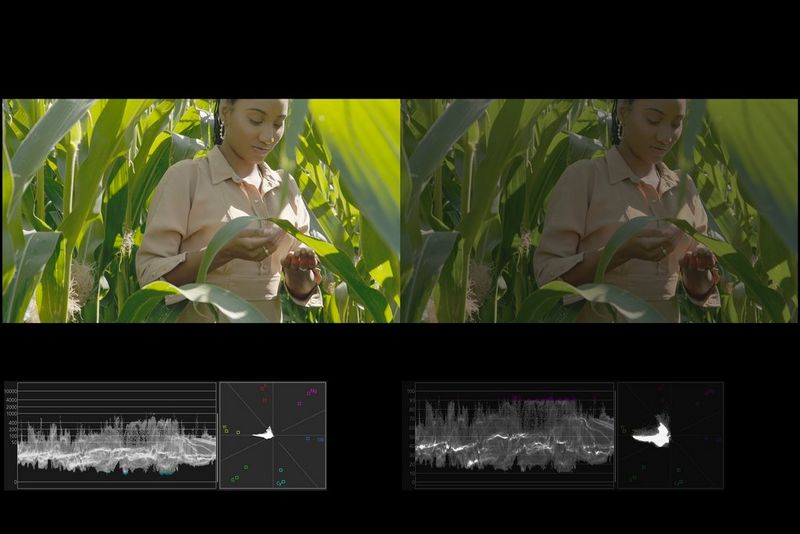 Сравнительное отображение HDR/SDR