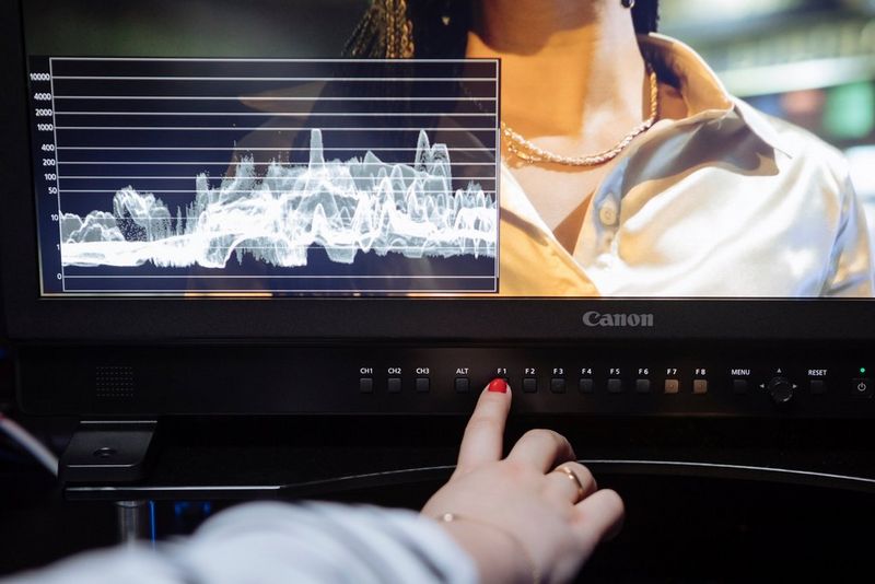 The Canon DP-V2730 monitor.