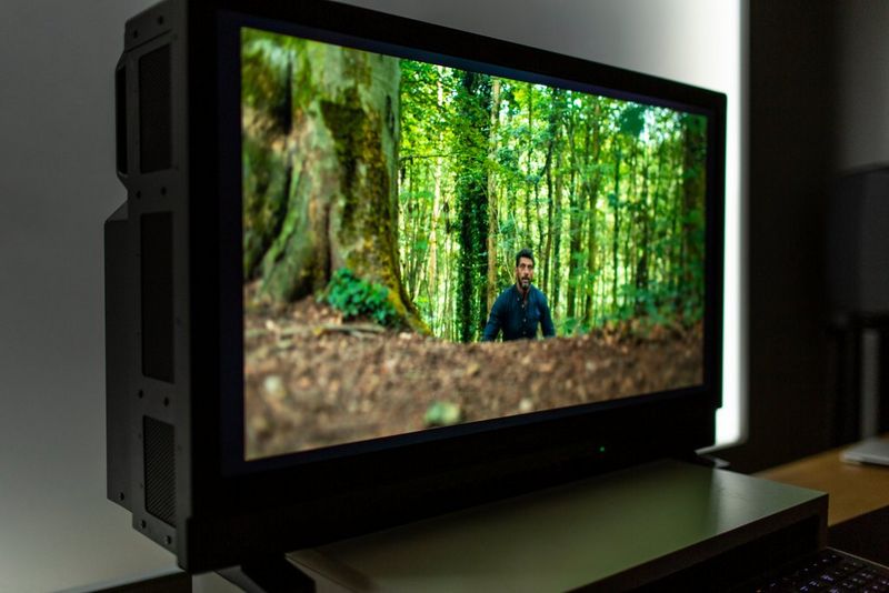 Profesionalni zasloni