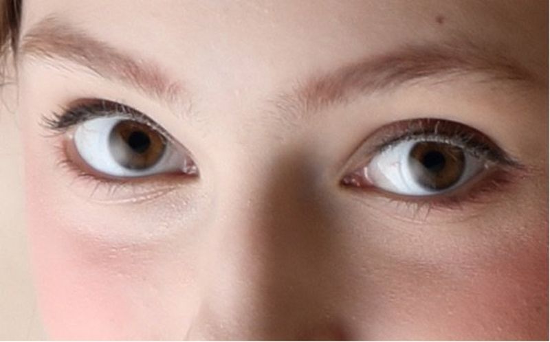 Canon EOS 5D Mark IV using Dual Pixel RAW before