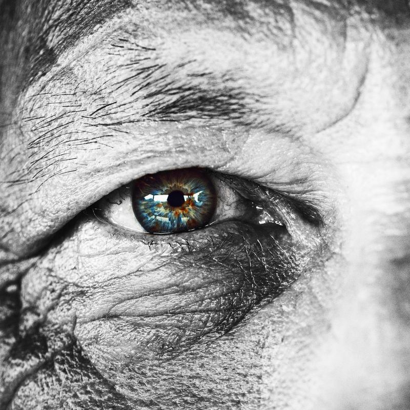 Qualità sempre superlativa