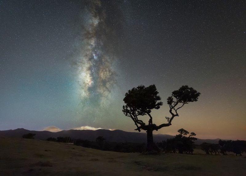 Tra eclissi e “stelle cadenti” Canon invita a catturare la magia del cielo di agosto