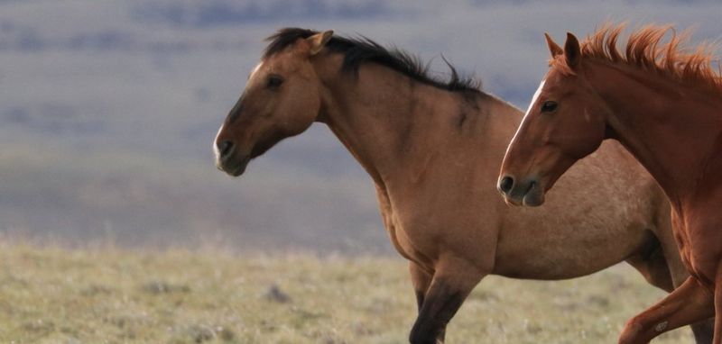 Explore the latest photography tutorials from Canon.