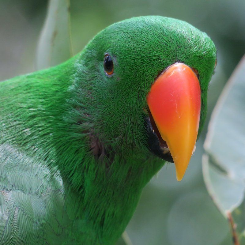 ecom-dep-page-cameras-entry-wildlife-banner-v01-800