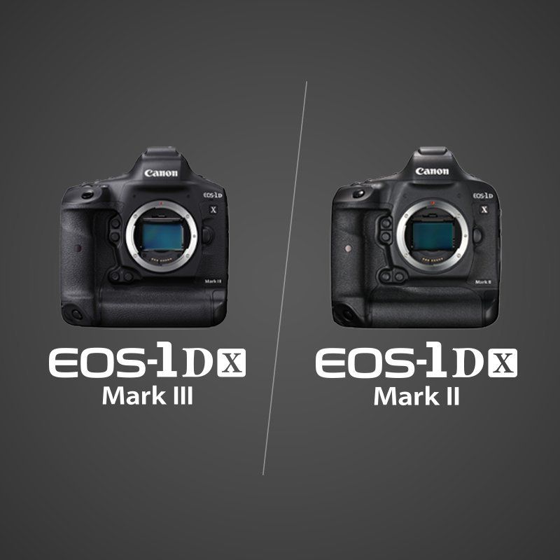 ecom_1D-X-comparison_800_v1_rb
