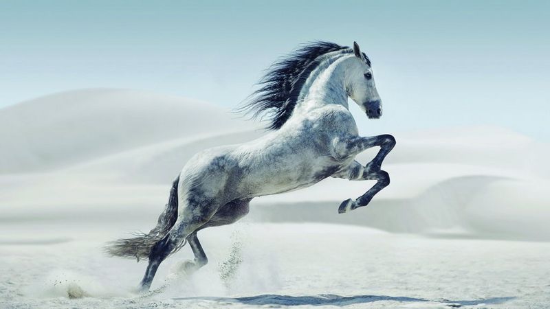 ecom_Banner_Todays_Deals_2025_16x9_an