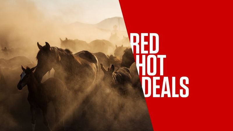 ecom_Black_Friday_Official_Banner_Oct25_16x9_an_1