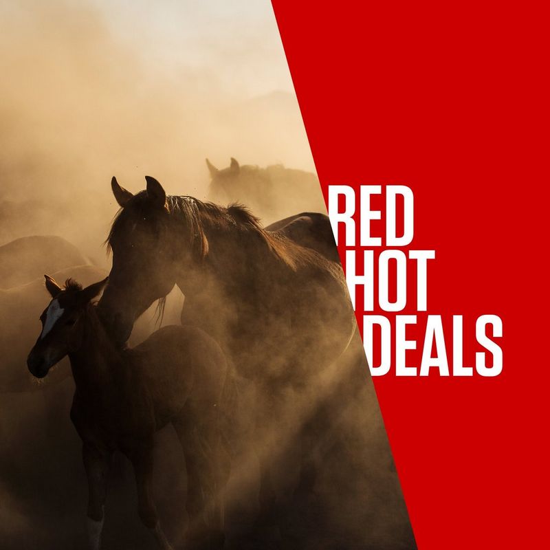 ecom_Black_Friday_Official_Banner_Oct25_1x1_an_1