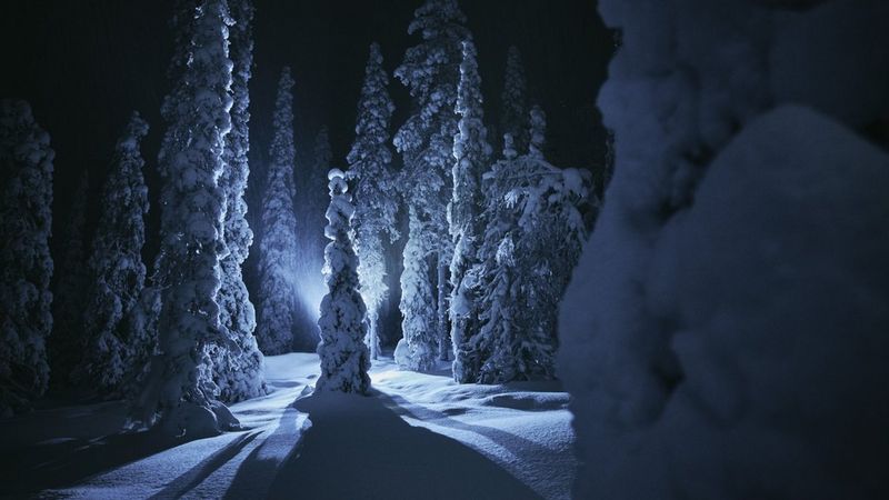 ecom_Christmas_Promotion_Var2_Dec24_16x9_an