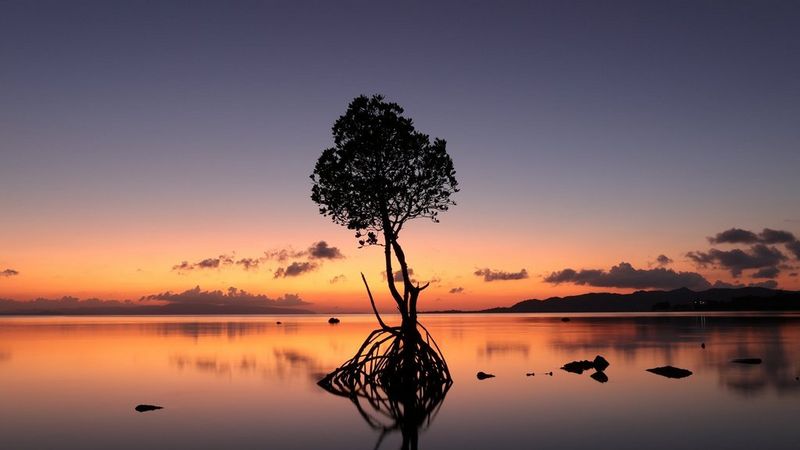 ecom_Empty_Category_Banner_16x9_Feb24_an