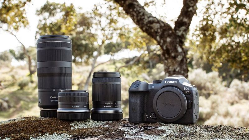 Ein Canon EOS R7 Kamera-Kit mit drei Objektiven, im Freien auf einem Stein unter einem Baum