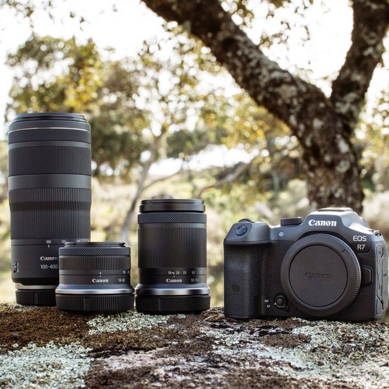 Ein Canon EOS R7 Kamera-Kit mit drei Objektiven, im Freien auf einem Stein unter einem Baum