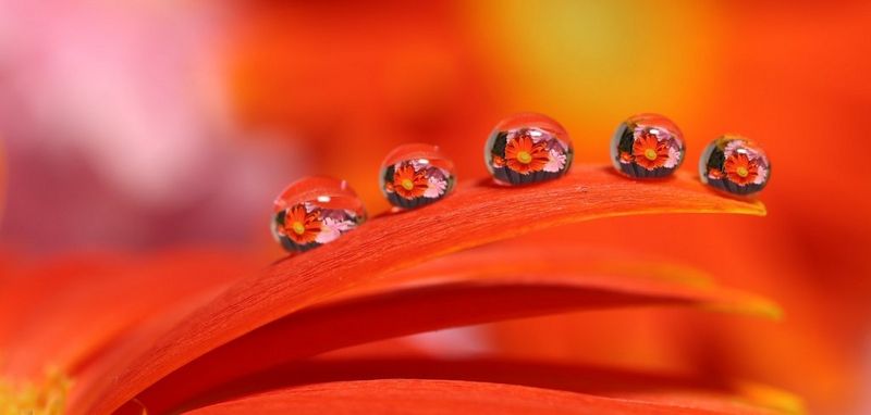 ecom_LP_35mm_Banner_16-07-2019_ig_v1_dh