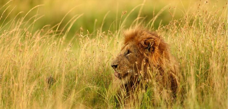 ecom_LP_400mm_Banner_16-07-2019_ig_v1_dh