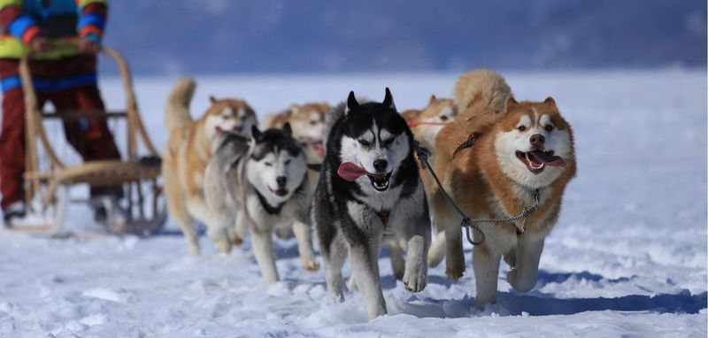 ecom_LP_70-200_Banner_16-07-2019_ig_v1_dh