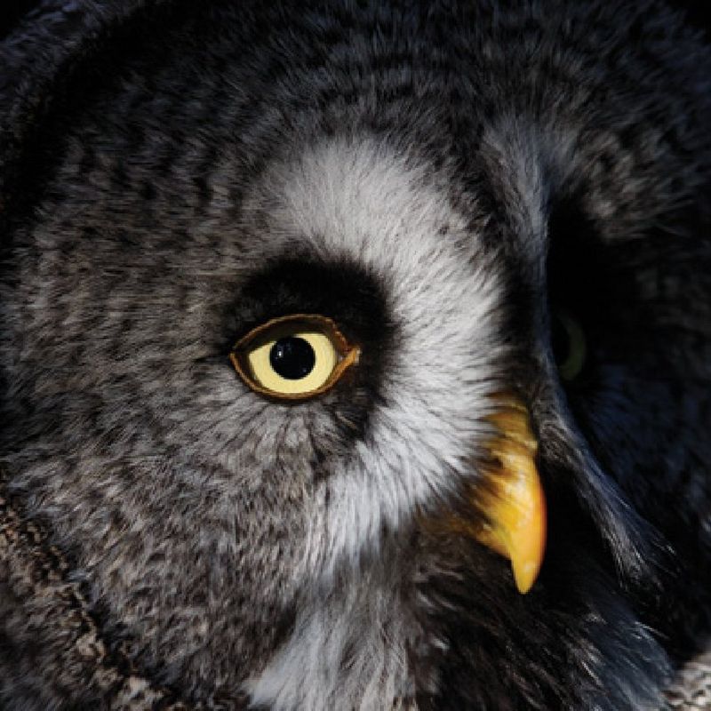 ecom_Macro_photography_guide_Sept23_1x1_an