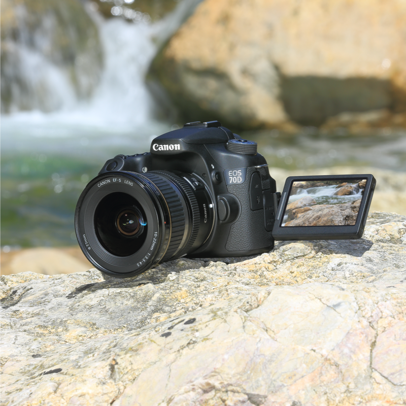 ecom_SEO_70D_Oct19_800_v1_rb