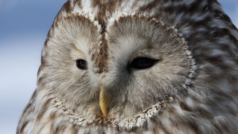 ecom_World_Photography_Day_All_Jul25_16x9_an