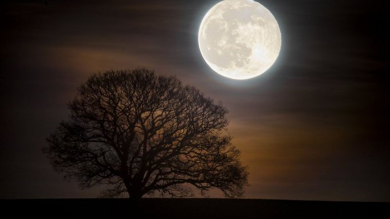 ecom_halloween-promo-2022_oct22_16-9_v1_rb