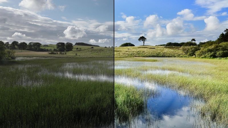 A before and after shot of a field of long grass, dark and unedited on the left, showing the lighter version on the left, edited in DPP.