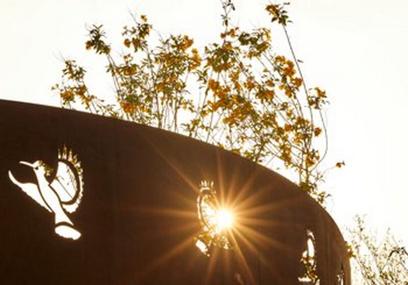 Rethinking education for a changing world