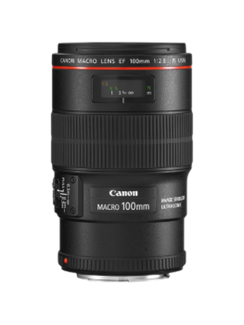 Canon EF 100mm f/2.8L Macro IS USM - Obiektywy – obiektywy