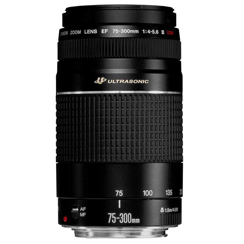 Canon EF 75-300mm f/4-5.6 III USM