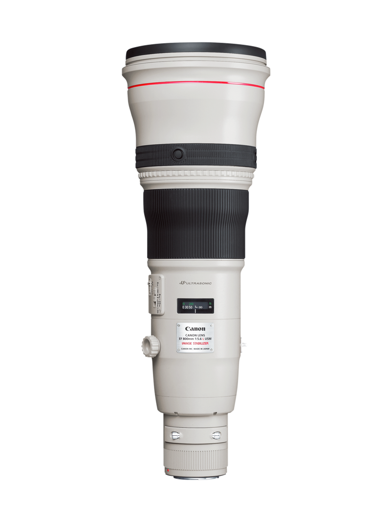 EF 800mm f/5.6L IS USM