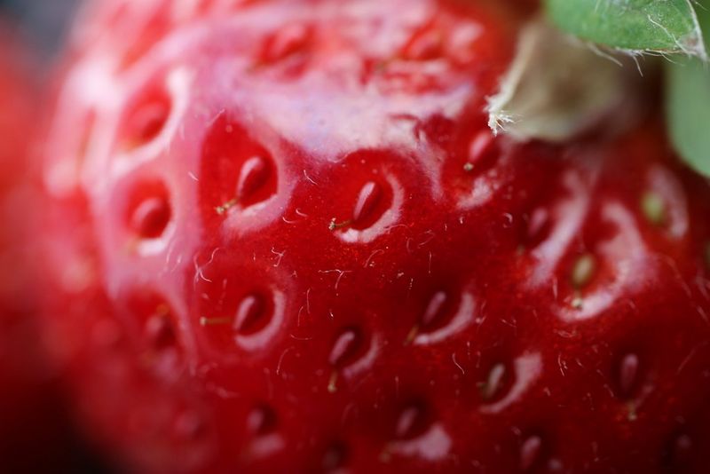 EF-S 60mm f/2.8 Macro USM