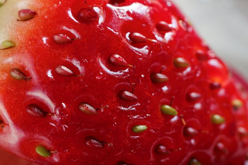 Scatto macro di una fragola