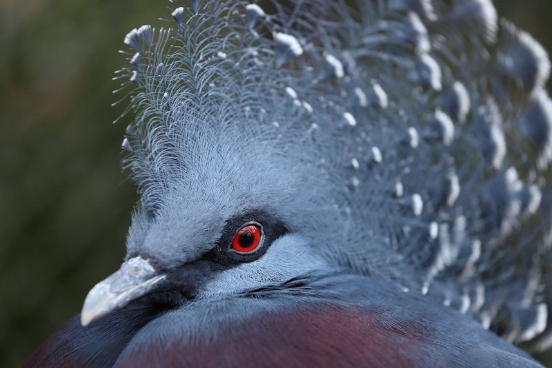 6 sfaturi pentru a vă îmbunătăţi fotografiile cu natură sălbatică