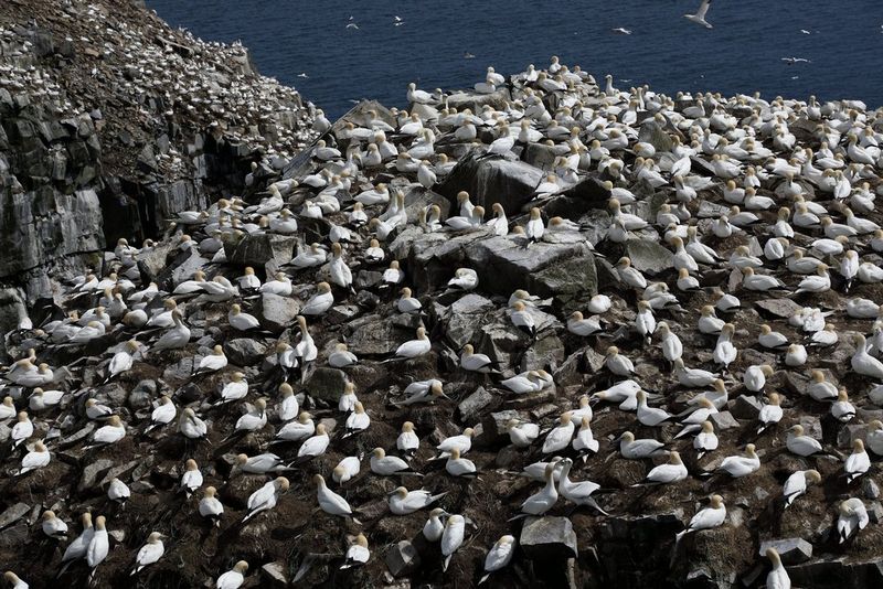 
       
       Unaprijeđena stabilizacija slike
     
     