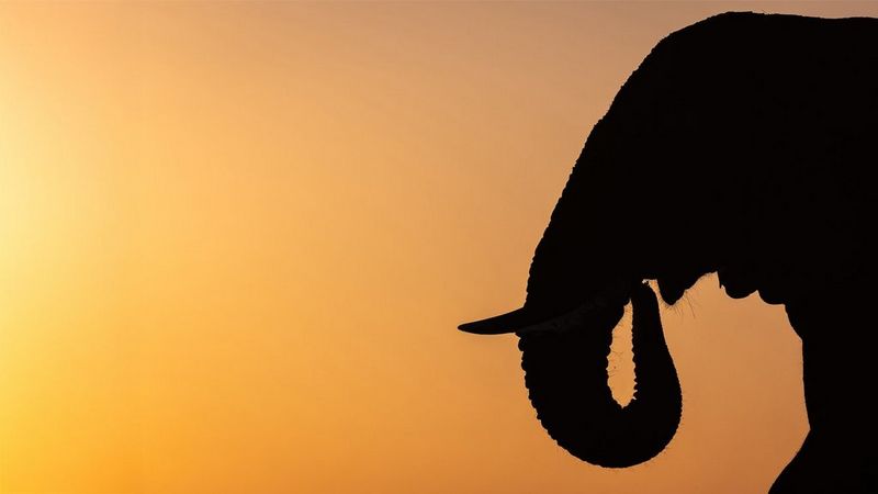 CANONPHOTO FESTIVAL MAY 2026