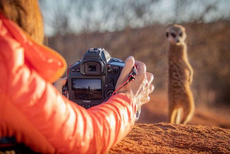 Un'estensione della tua mente creativa