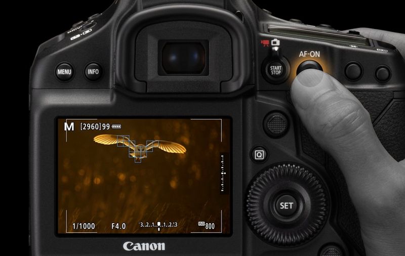 All about Autofocus (AF)
