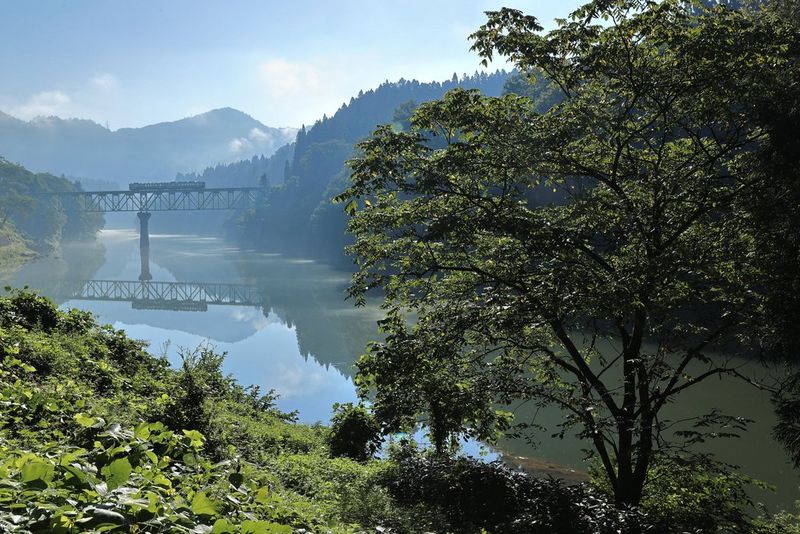 Zdjęcie HDR pociągu jadącego przez most kolejowy nad rzeką. Na pierwszym planie znajdują się zielone drzewa i krzewy. Zdjęcie zrobione aparatem Canon EOS-1DX_Mk_III.