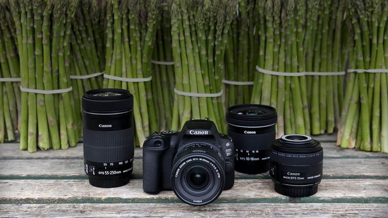 
       
       Benvenuto nel sistema EOS
     
     